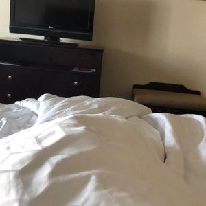 Meet your Posher, Darlene